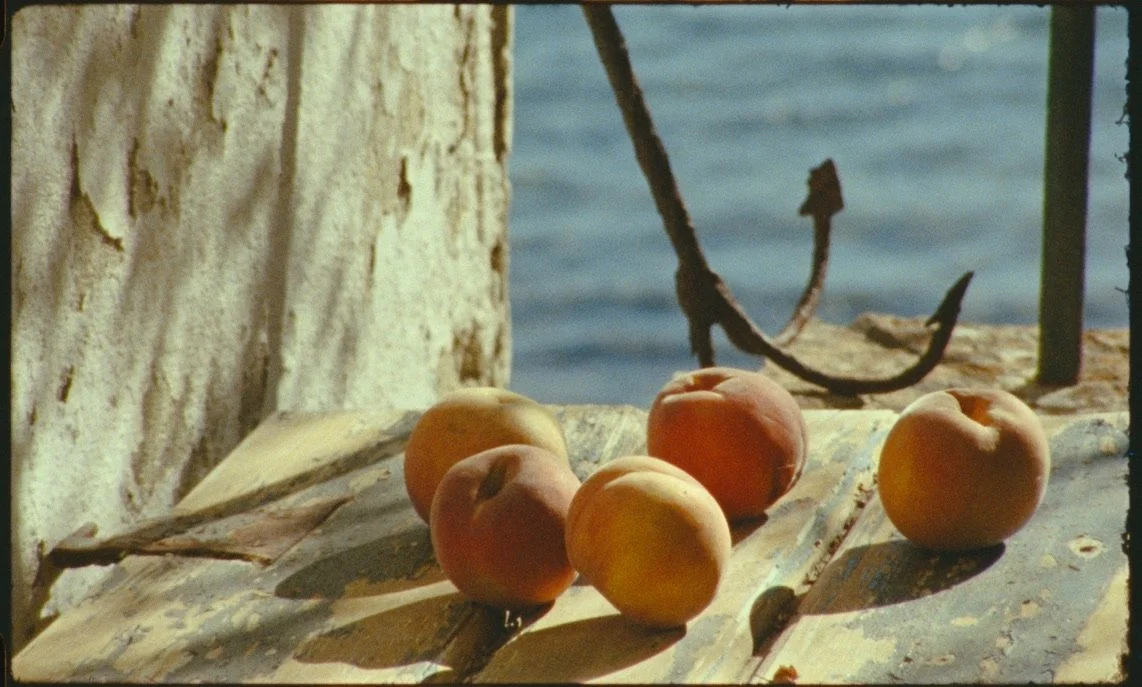 SAKS Resort Fall 2025